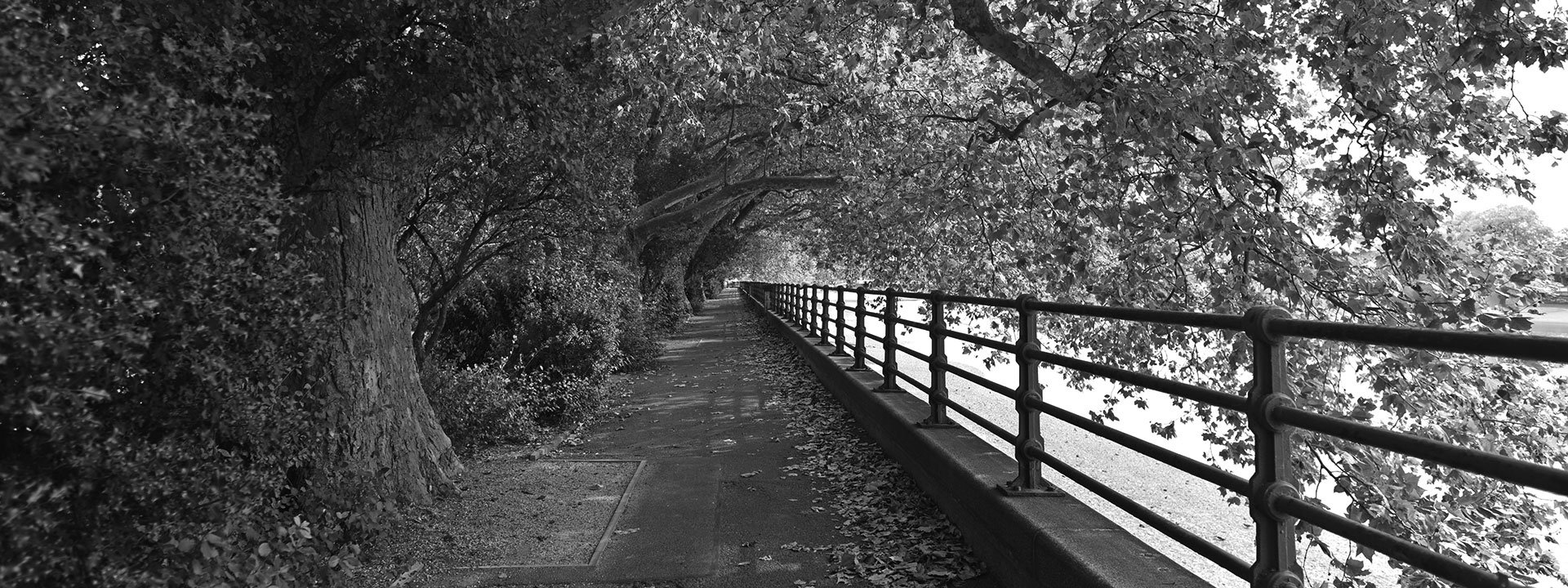 bishops-park-fulham-sw6